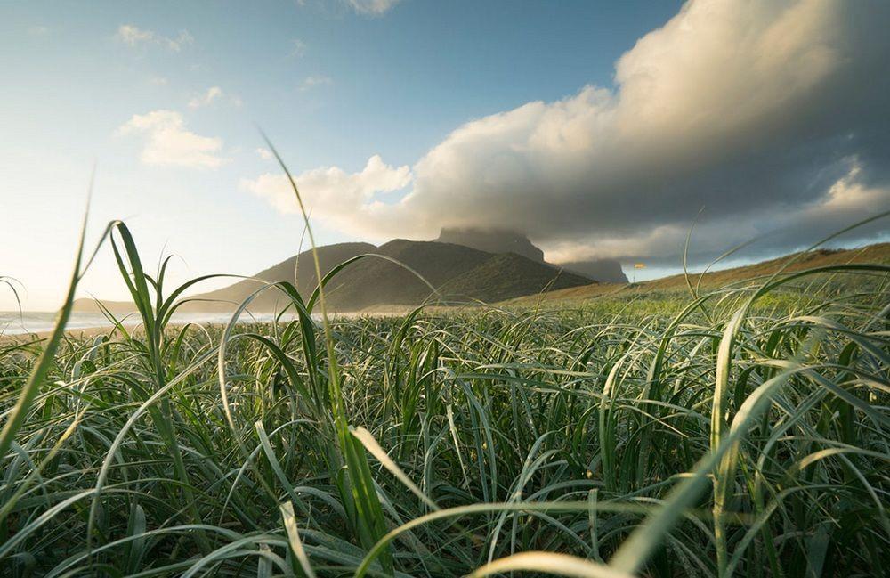 Arajilla Retreat Villa Lord Howe Island Kültér fotó